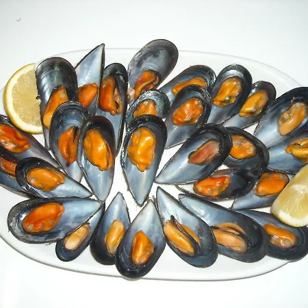 Casa de hóspedes O Canizo